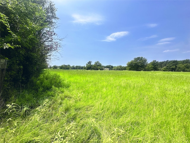 view of landscape featuring a rural view