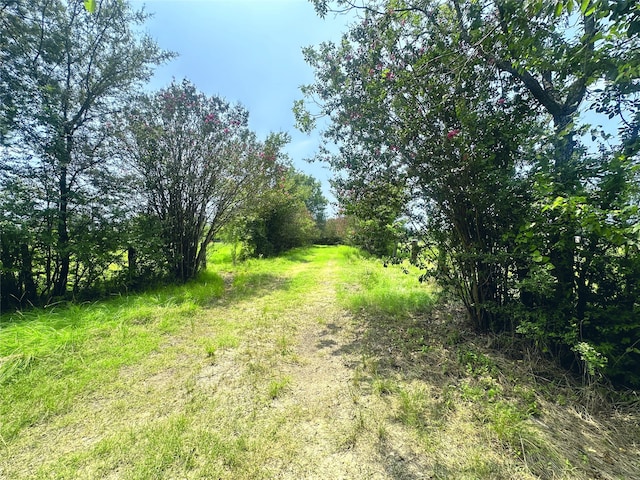 view of landscape