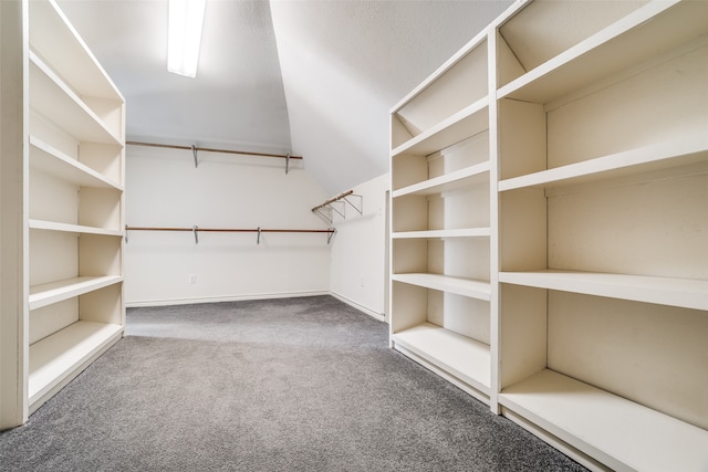 spacious closet featuring carpet flooring and vaulted ceiling