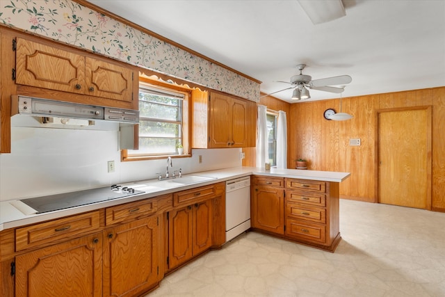 kitchen featuring dishwasher, black stovetop, ceiling fan, range hood, and kitchen peninsula