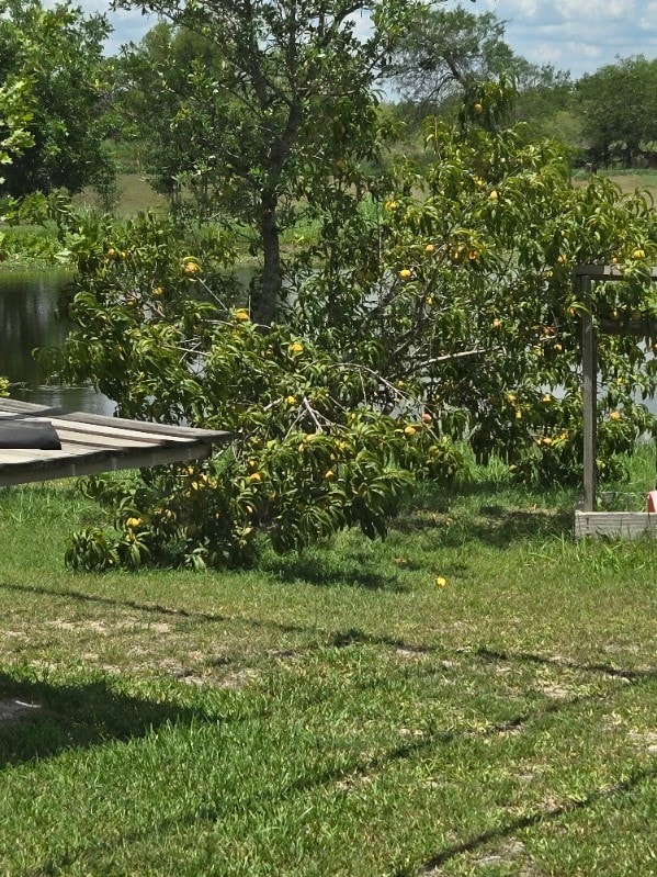 view of yard featuring a water view