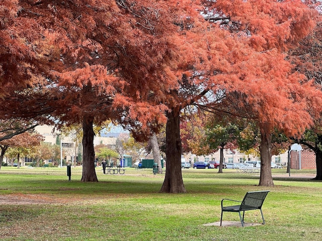 view of home's community featuring a lawn