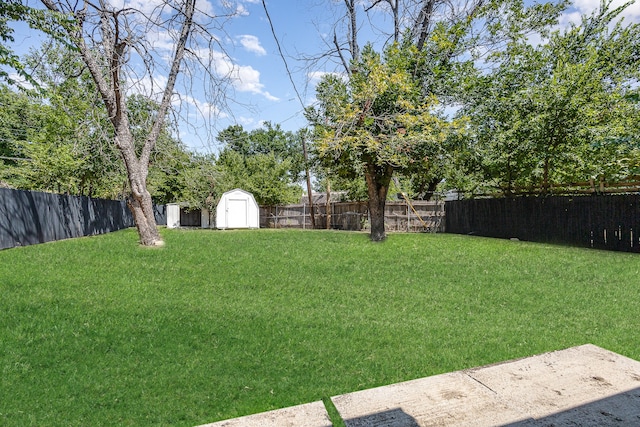 view of yard featuring a storage unit