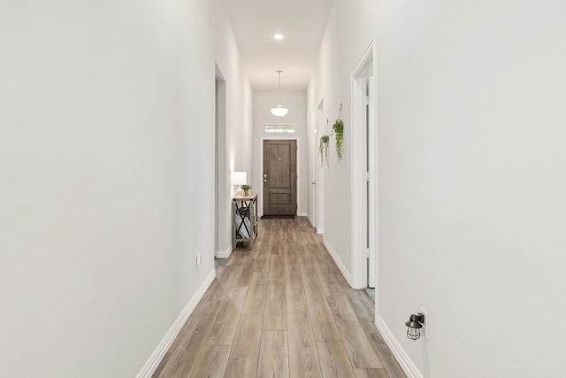 hall with light hardwood / wood-style flooring