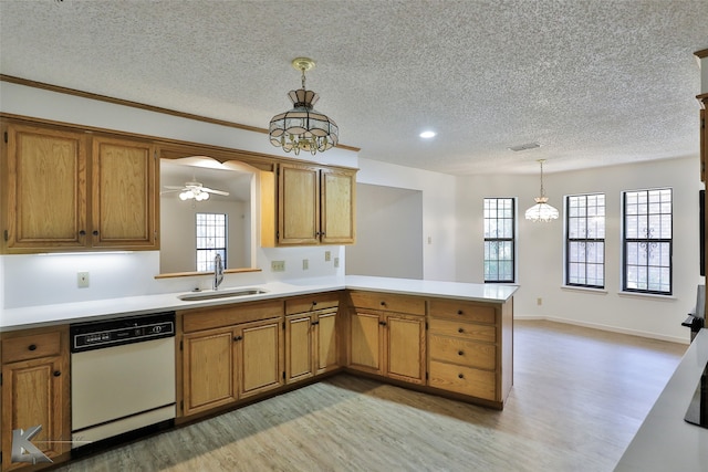 kitchen with a healthy amount of sunlight, white dishwasher, kitchen peninsula, and light hardwood / wood-style floors