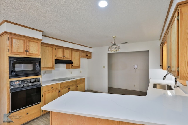 kitchen with a textured ceiling, light hardwood / wood-style floors, black appliances, sink, and kitchen peninsula