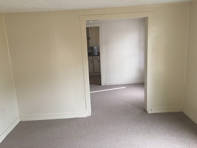 spare room with carpet