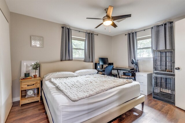 bedroom featuring multiple windows, ceiling fan, and dark wood-type flooring