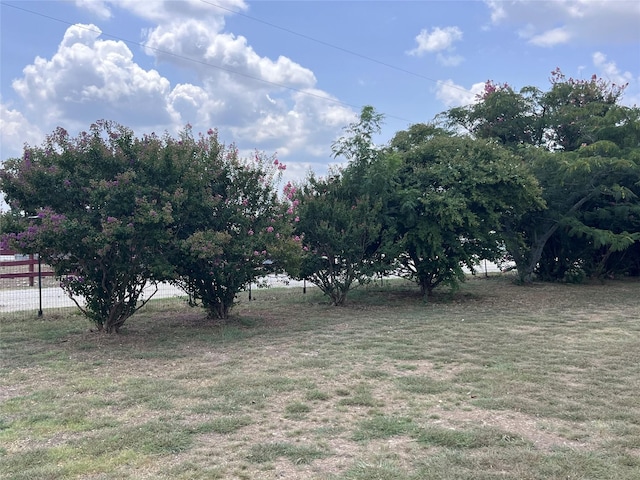 view of yard with a rural view