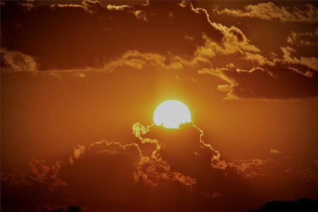 view of nature at dusk