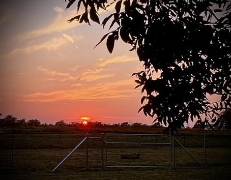 yard at dusk featuring a rural view