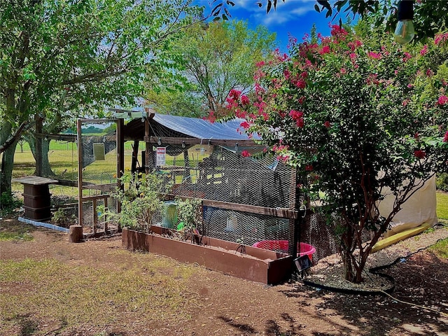 view of yard featuring an outdoor structure