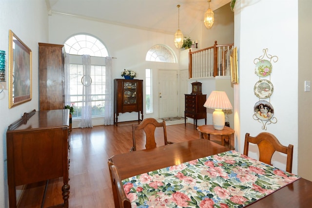 dining space featuring a healthy amount of sunlight and dark hardwood / wood-style flooring