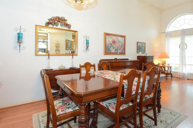 dining room with light hardwood / wood-style floors