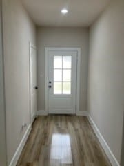 entryway featuring wood-type flooring