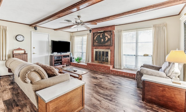 living room featuring a brick fireplace, plenty of natural light, dark hardwood / wood-style flooring, and ceiling fan