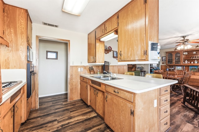 kitchen with dark hardwood / wood-style floors, sink, ceiling fan, and stainless steel appliances