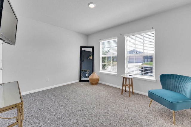 sitting room with carpet