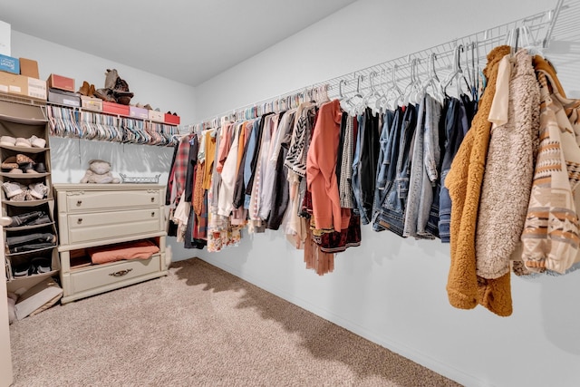 walk in closet featuring carpet