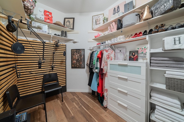 walk in closet featuring wood finished floors