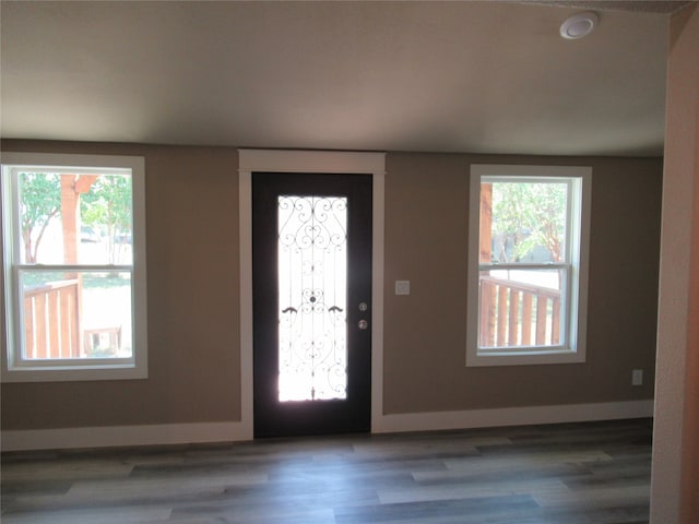 foyer with wood-type flooring and a healthy amount of sunlight