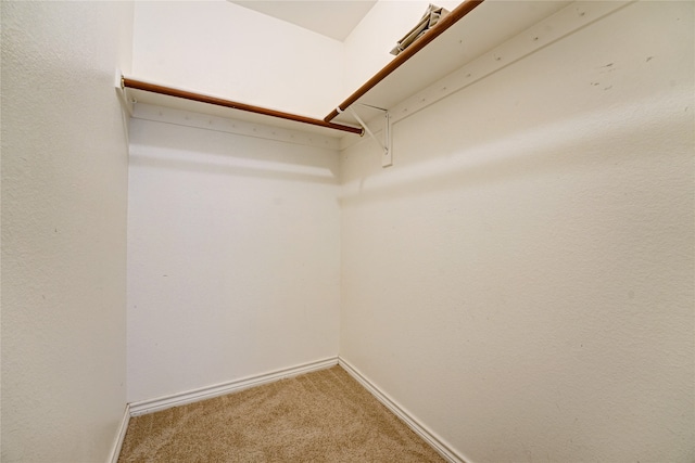 spacious closet featuring carpet floors