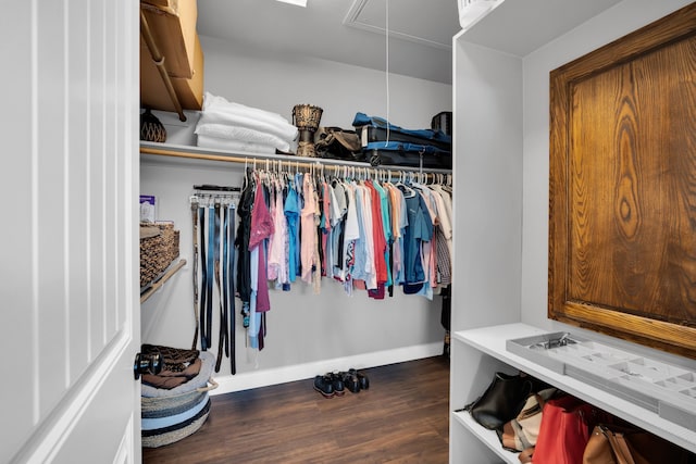 spacious closet with dark hardwood / wood-style floors