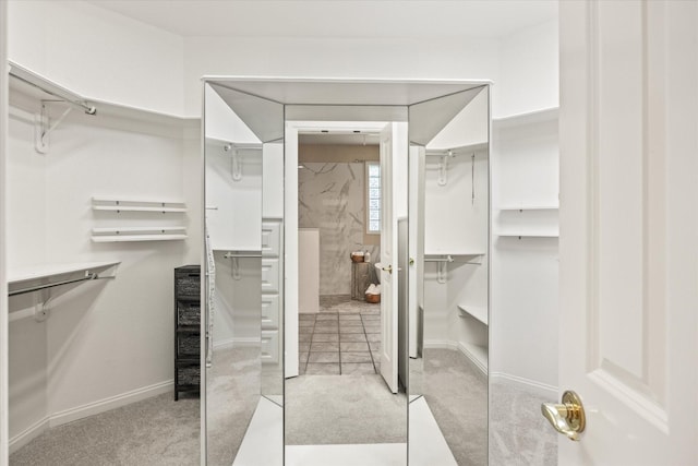 spacious closet with light colored carpet