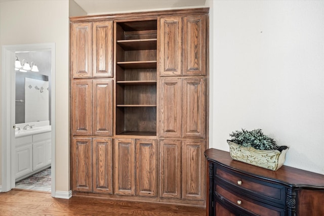 closet featuring sink