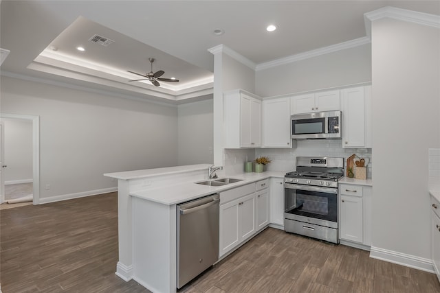 kitchen with ceiling fan, stainless steel appliances, wood-type flooring, and a raised ceiling