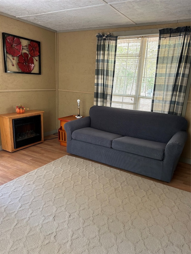 living room featuring wood-type flooring