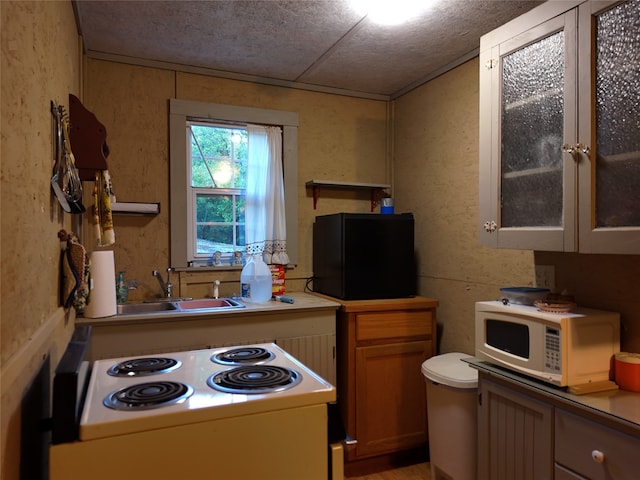 kitchen featuring sink and a textured ceiling