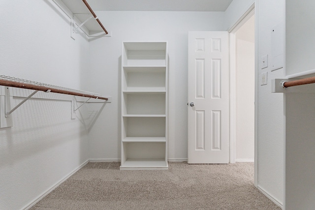 spacious closet with carpet floors