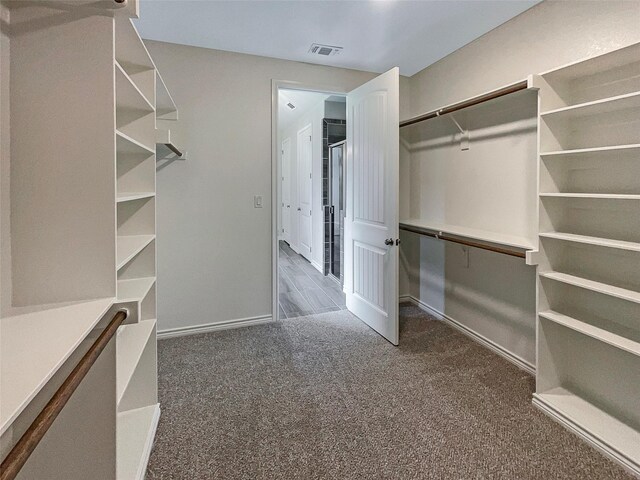 spacious closet featuring carpet floors