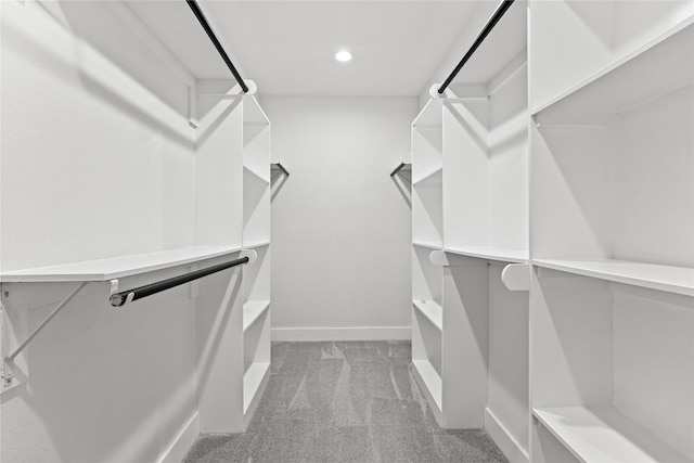 walk in closet featuring carpet flooring