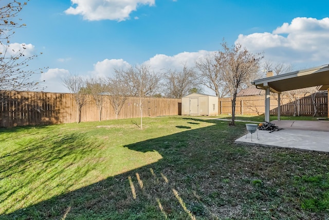 view of yard with a patio area and a storage unit