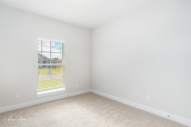 unfurnished room with carpet flooring and plenty of natural light