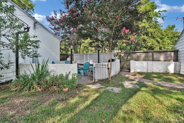 view of yard featuring a patio area