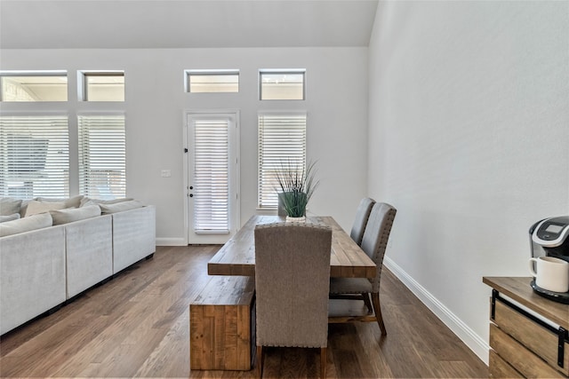 dining room with wood-type flooring and a healthy amount of sunlight