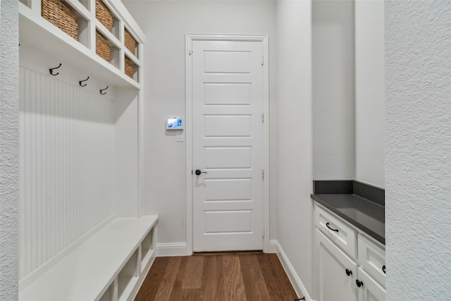 mudroom with dark hardwood / wood-style flooring