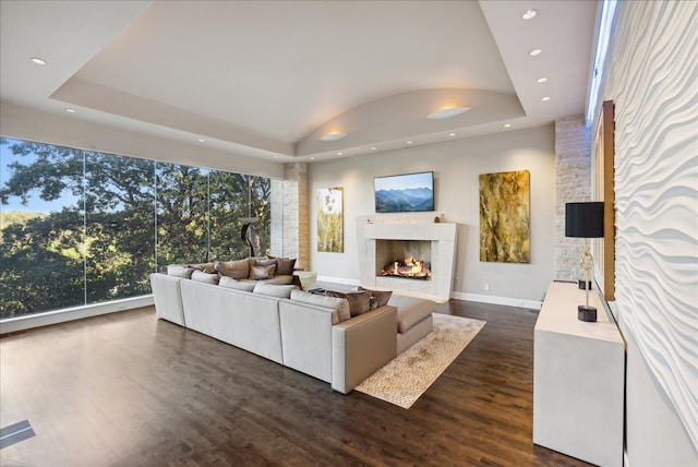 living room featuring dark hardwood / wood-style flooring and a tray ceiling