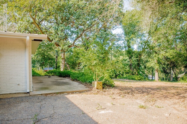 view of yard featuring a patio area