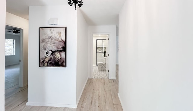 hallway featuring light hardwood / wood-style flooring