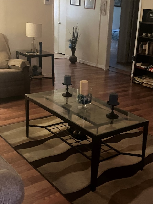 living room featuring hardwood / wood-style flooring