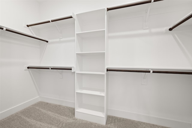 walk in closet with carpet floors