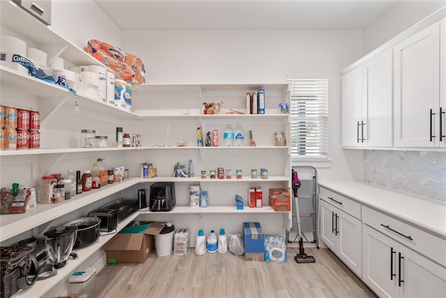 view of pantry