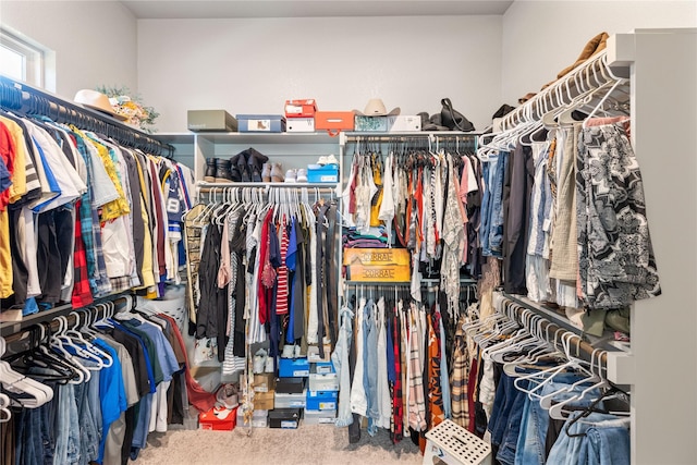 walk in closet featuring carpet flooring