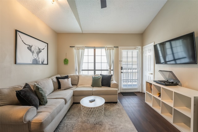 living room featuring dark wood-type flooring and a textured ceiling