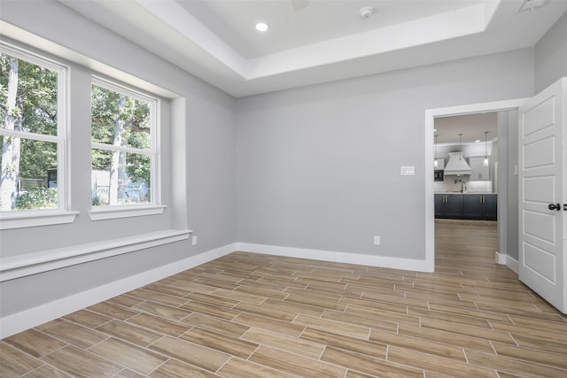 unfurnished room with a tray ceiling and a wealth of natural light