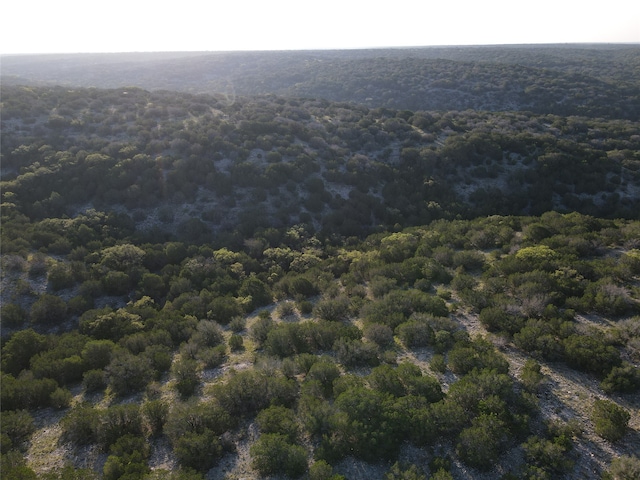 Listing photo 2 for TBD Private Rd Unit 1480, Rocksprings TX 78880